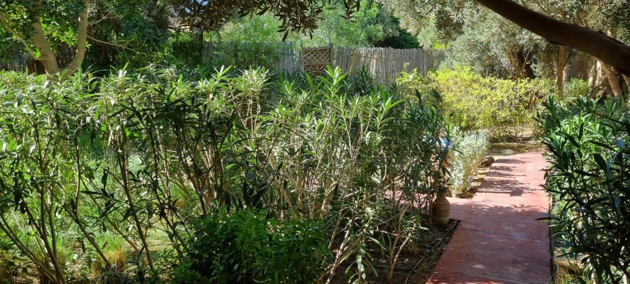 Les Trois Paons Bed & Breakfast Taroudant Dış mekan fotoğraf