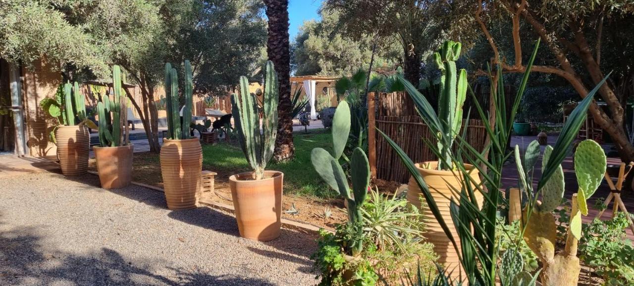 Les Trois Paons Bed & Breakfast Taroudant Dış mekan fotoğraf