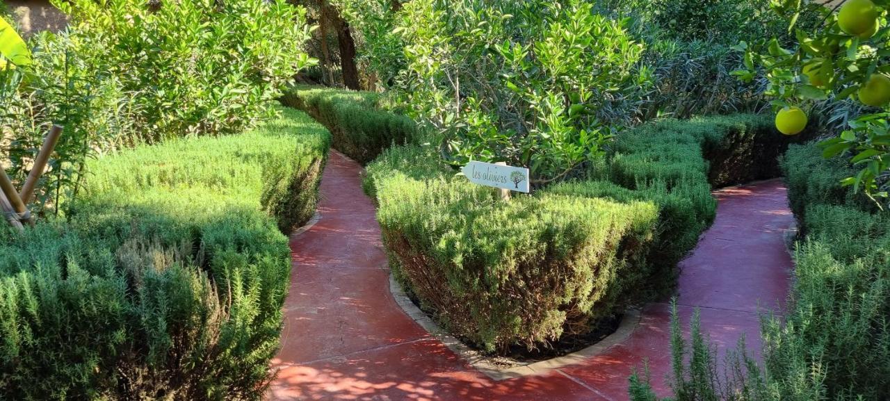 Les Trois Paons Bed & Breakfast Taroudant Dış mekan fotoğraf