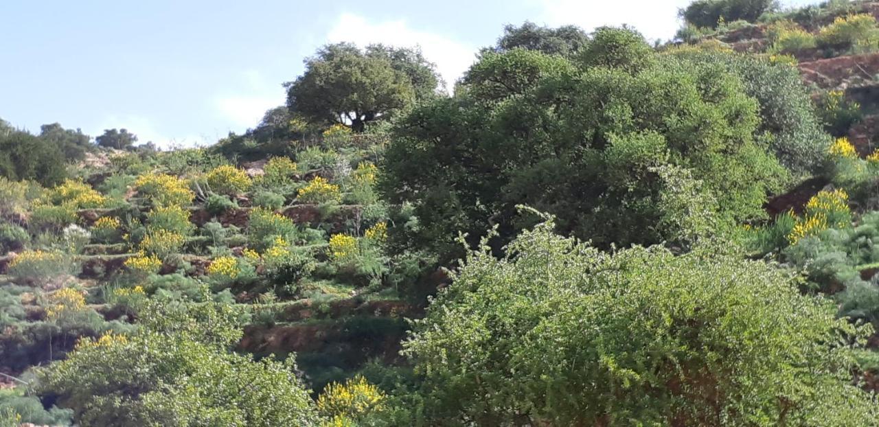Les Trois Paons Bed & Breakfast Taroudant Dış mekan fotoğraf